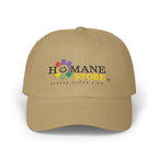 Classic Dad Cap — Humane Store Rainbow Smiley Logo Hat