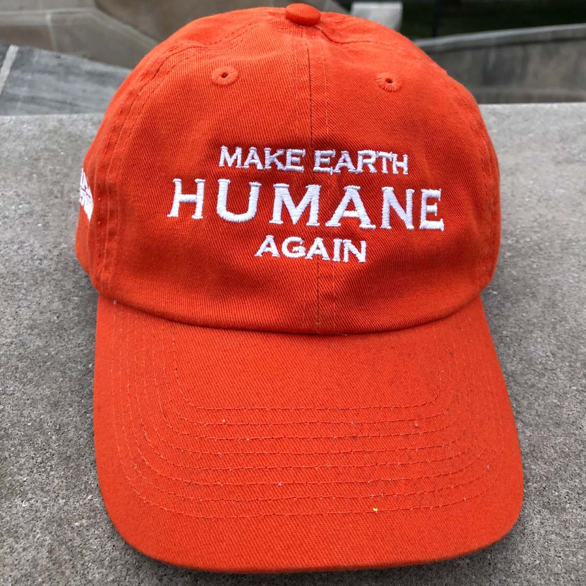 Make Earth Humane Again - Original Orange