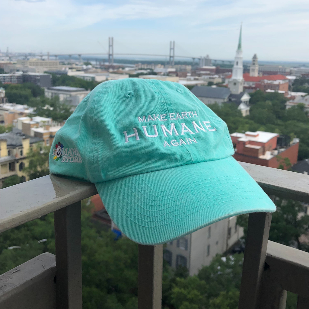 Make Earth Humane Again - Turquoise Transferring